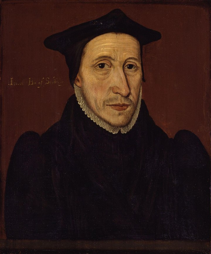 A half-length portrait of bishop John Jewel. In front of a plain brown/dark orange background, he is wearing religious attire, wit a dark black gown, with a high frilled white collar. He is wearing a black Canterbury cap, a square shaped cap, and has short stubble and a large nose. 